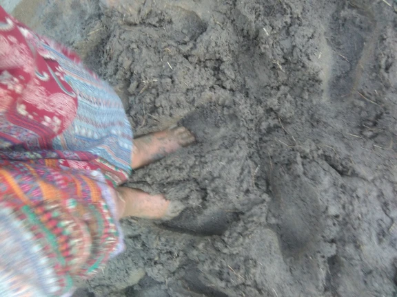 A person whose feet are in wet sand